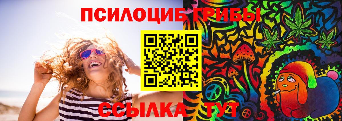 Галлюциногенные грибы Psilocybe Избербаш
